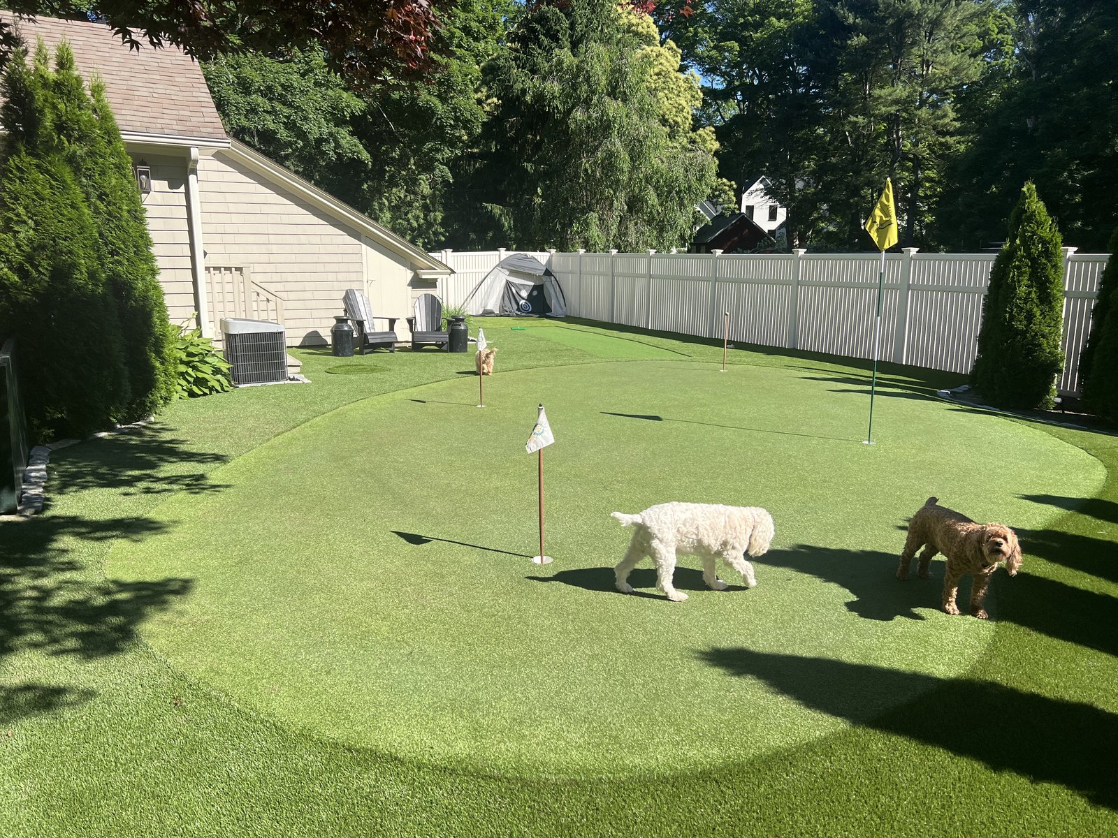 Pet-friendly synthetic turf