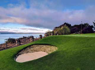 Backyard golf complex
