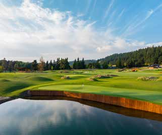 Celebrity Greens installation