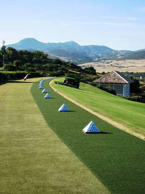 Celebrity Greens installation