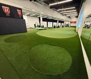 Celebrity Greens installation