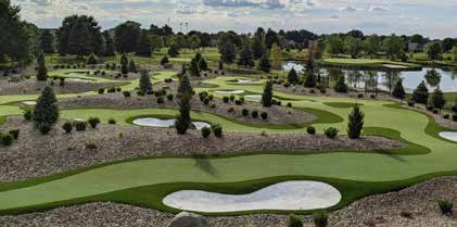 Celebrity Greens installation